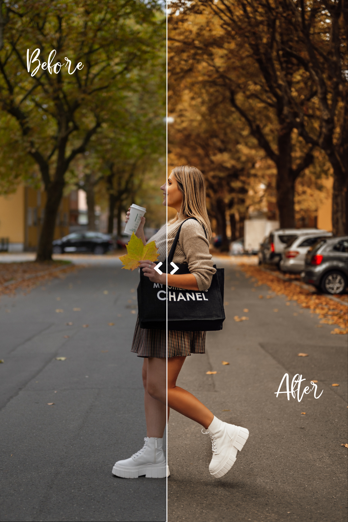 Autumn street preset before and after