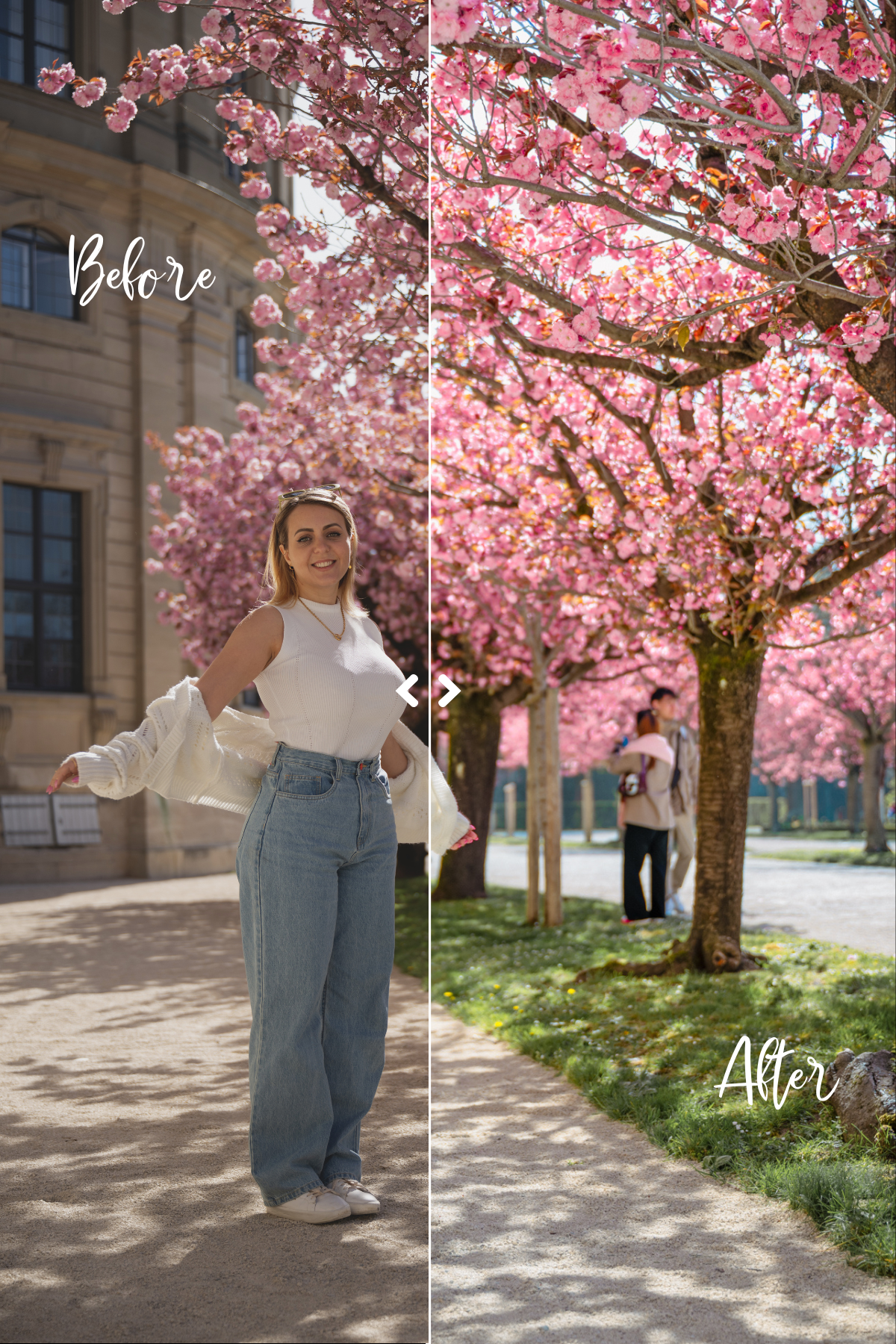 Cherry blossom preset before and after