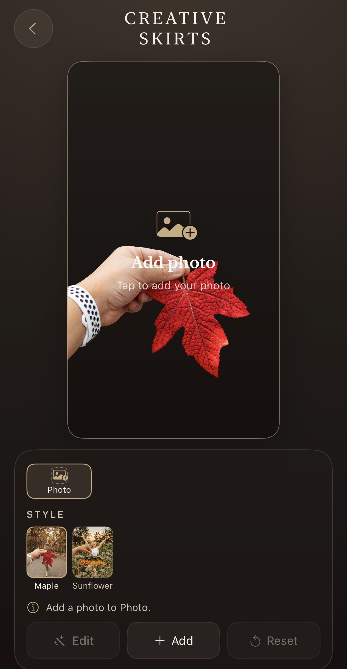 EMRY leaf template screen